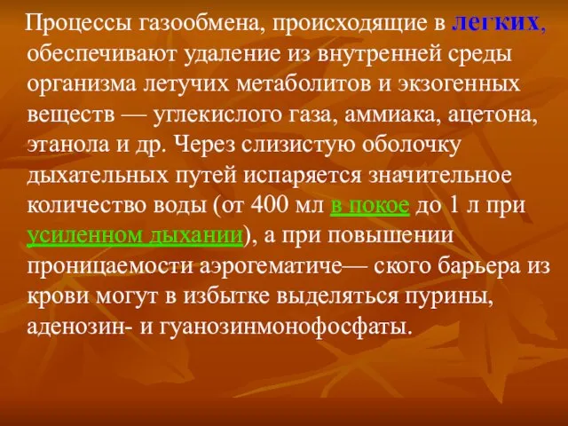 Процессы газообмена, происходящие в легких, обеспечивают удаление из внутренней среды организма летучих