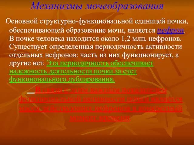 Механизмы мочеобразования Основной структурно-функциональной единицей почки, обеспечивающей образование мочи, является нефрон. В