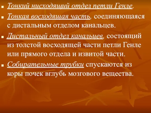 Тонкий нисходящий отдел петли Генле. Тонкая восходящая часть, соединяющаяся с дистальным отделом