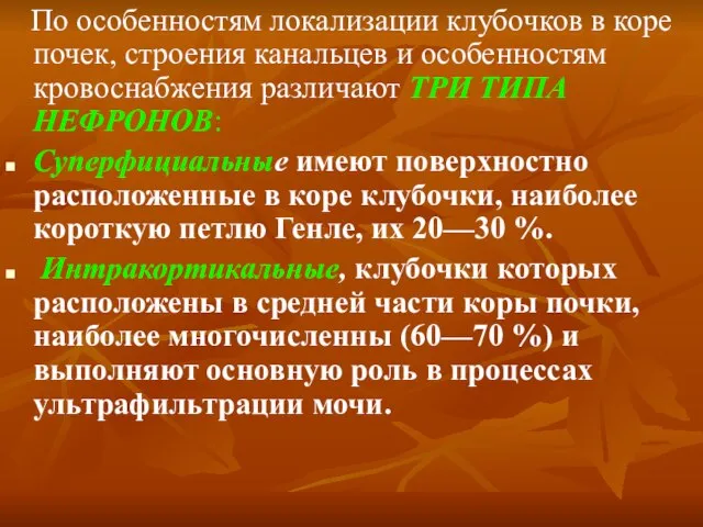 По особенностям локализации клубочков в коре почек, строения канальцев и особенностям кровоснабжения