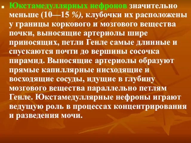 Юкстамедуллярных нефронов значительно меньше (10—15 %), клубочки их расположены у границы коркового