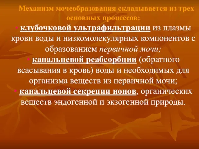 Механизм мочеобразования складывается из трех основных процессов: • клубочковой ультрафильтрации из плазмы