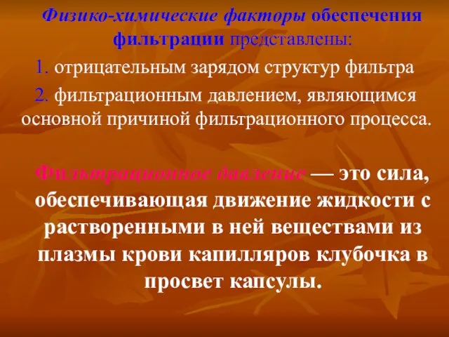 Физико-химические факторы обеспечения фильтрации представлены: 1. отрицательным зарядом структур фильтра 2. фильтрационным