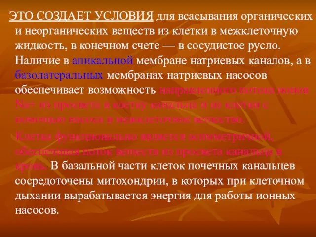 ЭТО СОЗДАЕТ УСЛОВИЯ для всасывания органических и неорганических веществ из клетки в