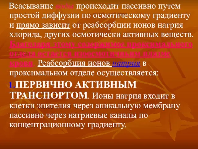 Всасывание воды происходит пассивно путем простой диффузии по осмотическому градиенту и прямо