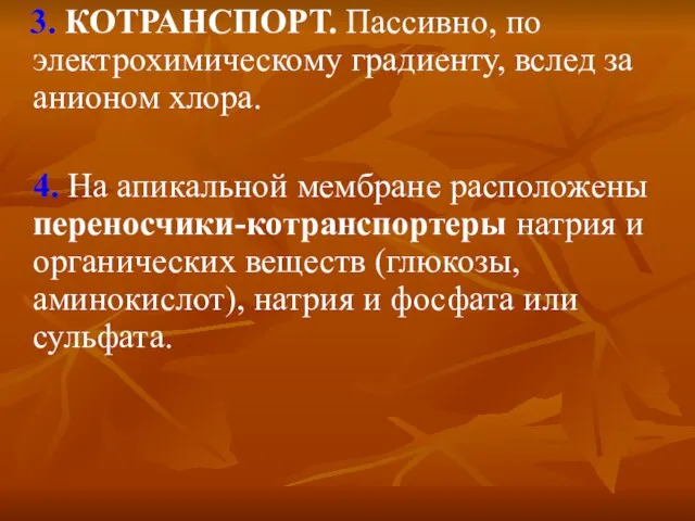 3. КОТРАНСПОРТ. Пассивно, по электрохимическому градиенту, вслед за анионом хлора. 4. На