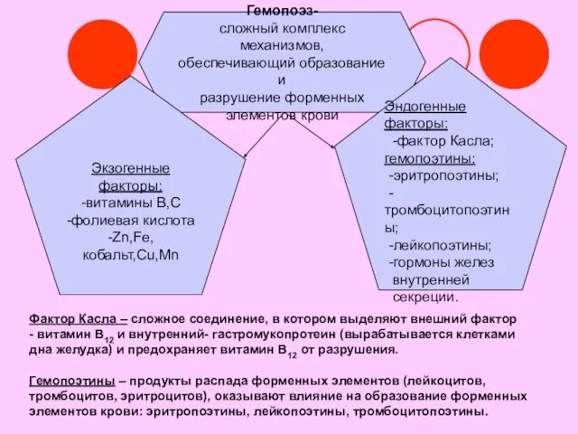 Гемопоэз- сложный комплекс механизмов, обеспечивающий образование и разрушение форменных элементов крови Экзогенные