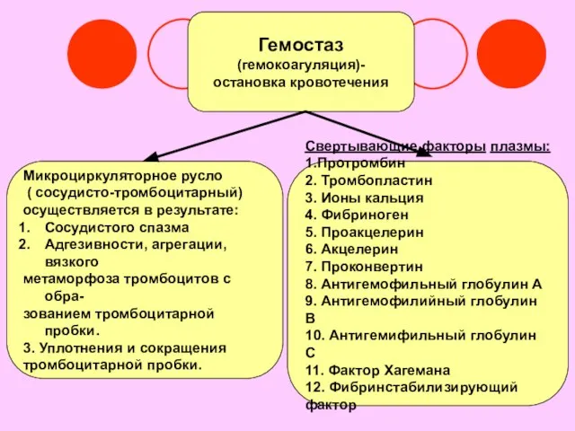 Гемостаз (гемокоагуляция)- остановка кровотечения Микроциркуляторное русло ( сосудисто-тромбоцитарный) осуществляется в результате: Сосудистого