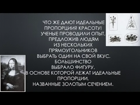 ЧТО ЖЕ ДАЮТ ИДЕАЛЬНЫЕ ПРОПОРЦИИ? КРАСОТУ! УЧЕНЫЕ ПРОВОДИЛИ ОПЫТ, ПРЕДЛОЖИВ ЛЮДЯМ ИЗ