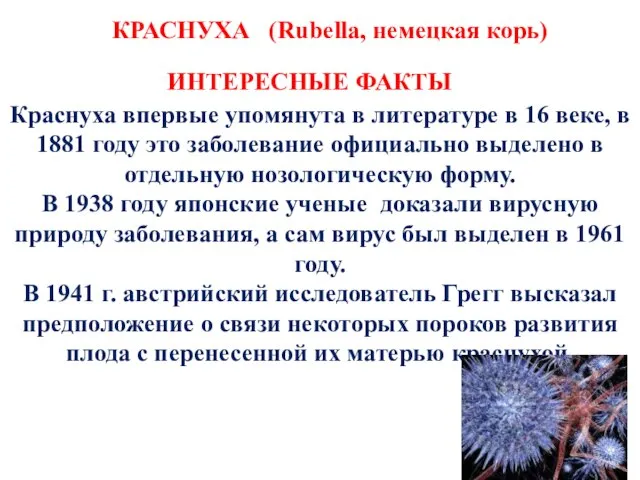 КРАСНУХА (Rubella, немецкая корь) Краснуха впервые упомянута в литературе в 16 веке,