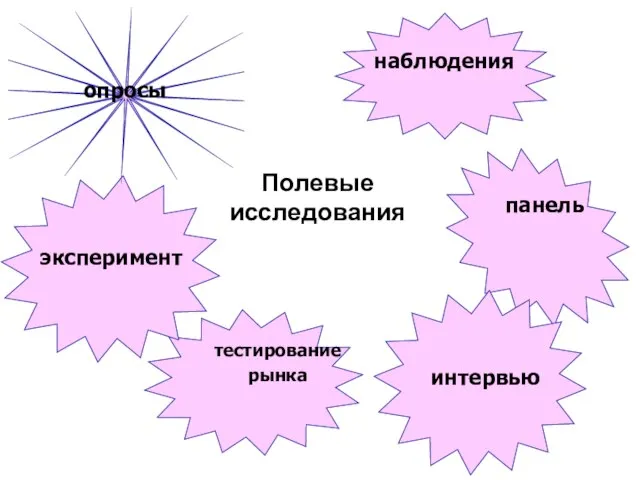 Полевые исследования