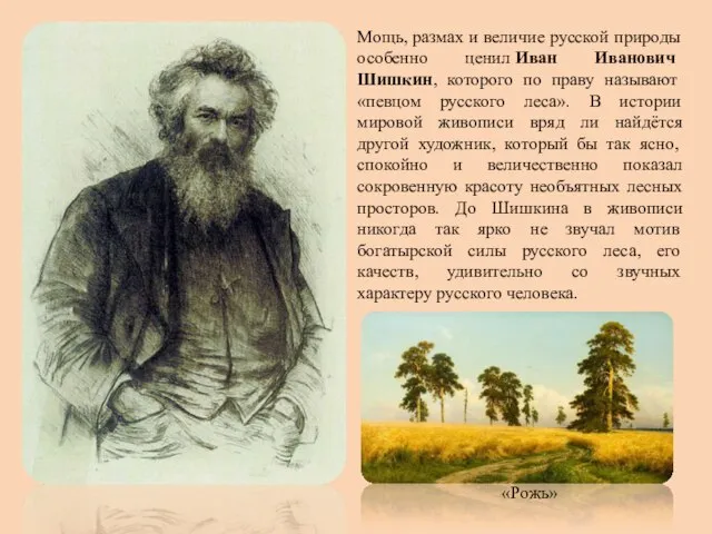 Мощь, размах и величие русской природы особенно ценил Иван Иванович Шишкин, которого