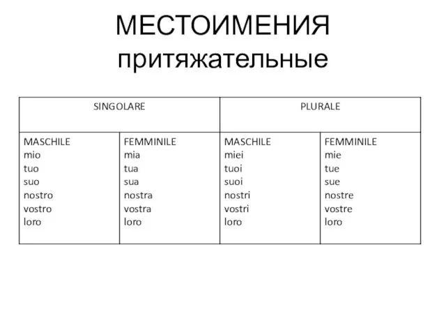 МЕСТОИМЕНИЯ притяжательные