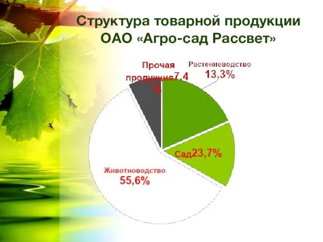 Структура товарной продукции ОАО «Агро-сад Рассвет»