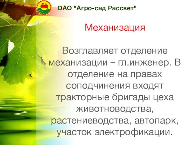 ОАО "Агро-сад Рассвет" Механизация Возглавляет отделение механизации – гл.инженер. В отделение на