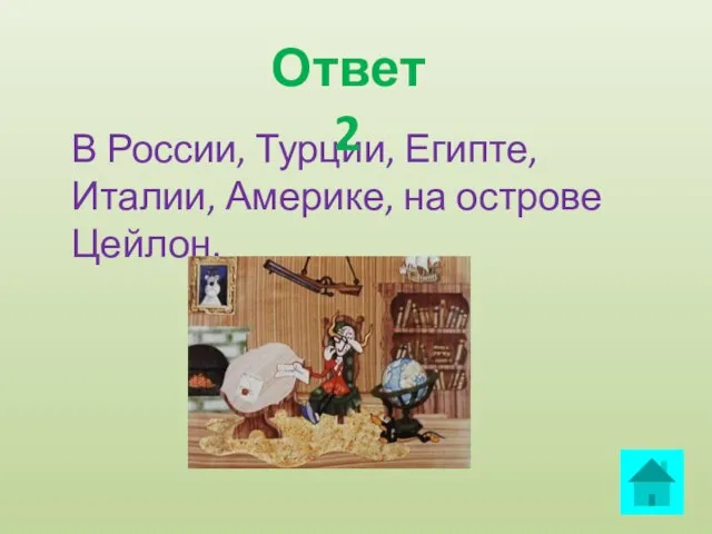 В России, Турции, Египте, Италии, Америке, на острове Цейлон. Ответ 2