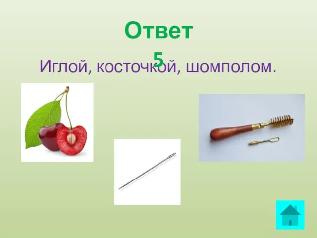 Иглой, косточкой, шомполом. Ответ 5