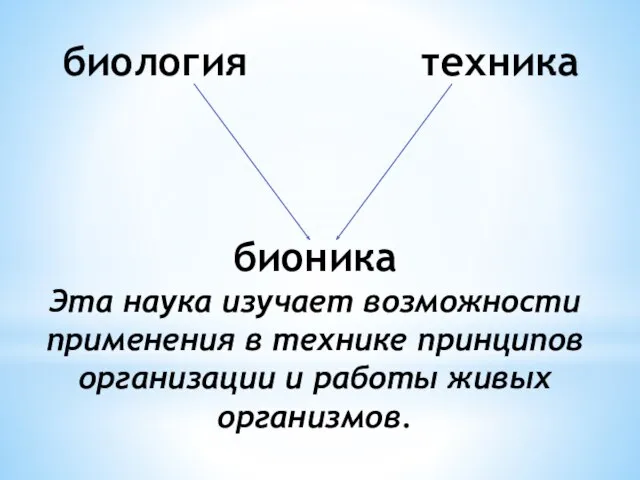 биология техника бионика Эта наука изучает возможности применения в технике принципов организации и работы живых организмов.