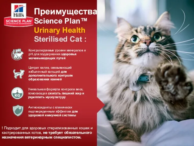 Преимущества Science Plan™ Urinary Health Sterilised Cat : ! Подходит для здоровых