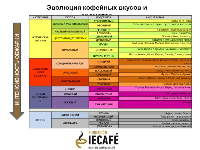 Эволюция кофейных вкусов и ароматов ИНТЕНСИВНОСТЬ ОБЖАРКИ