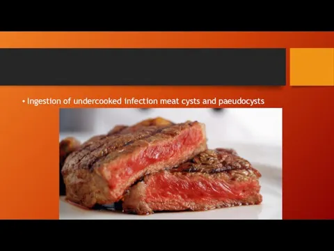 Ingestion of undercooked infection meat cysts and paeudocysts
