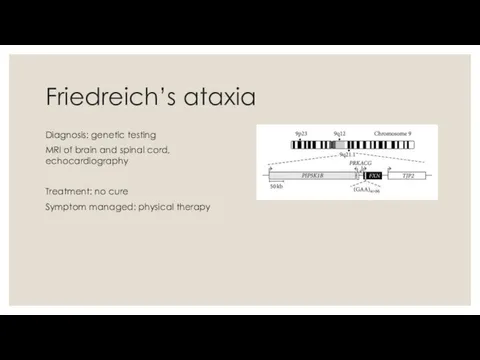 Friedreich’s ataxia Diagnosis: genetic testing MRI of brain and spinal cord, echocardiography