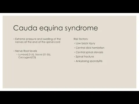 Cauda equina syndrome Extreme pressure and swelling of the nerves at the