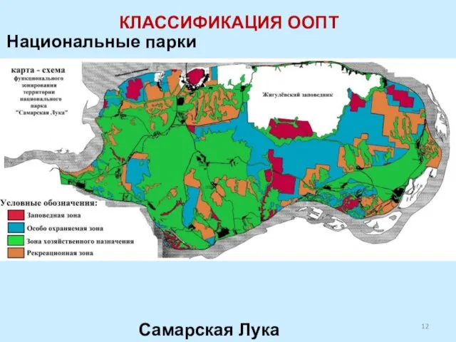 Национальные парки КЛАССИФИКАЦИЯ ООПТ Самарская Лука