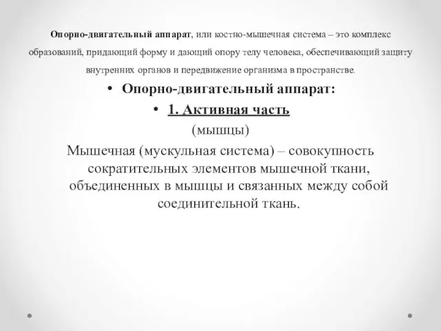 Опорно-двигательный аппарат, или костно-мышечная система – это комплекс образований, придающий форму и