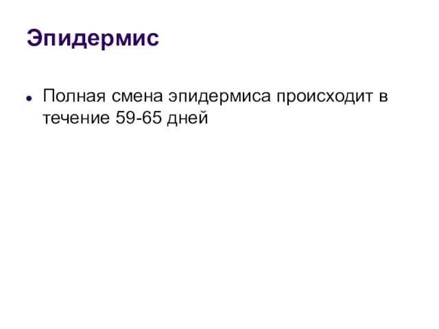 Эпидермис Полная смена эпидермиса происходит в течение 59-65 дней