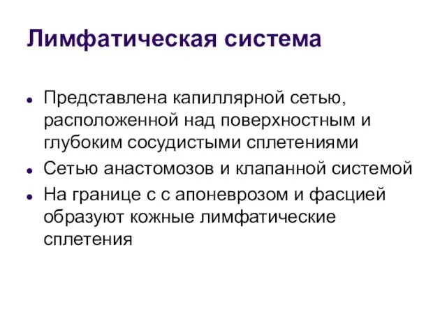 Лимфатическая система Представлена капиллярной сетью, расположенной над поверхностным и глубоким сосудистыми сплетениями