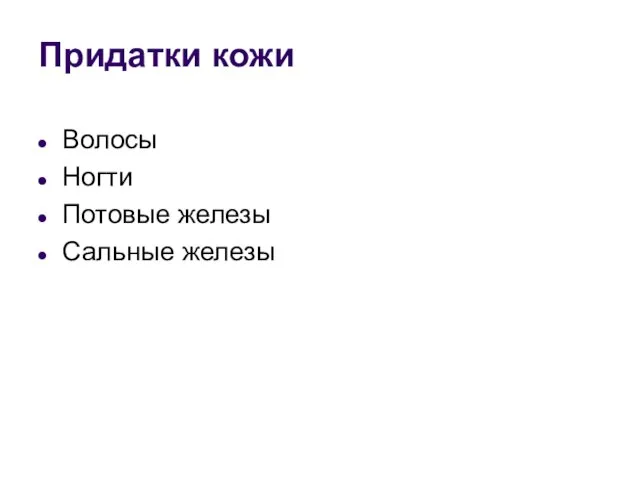 Придатки кожи Волосы Ногти Потовые железы Сальные железы