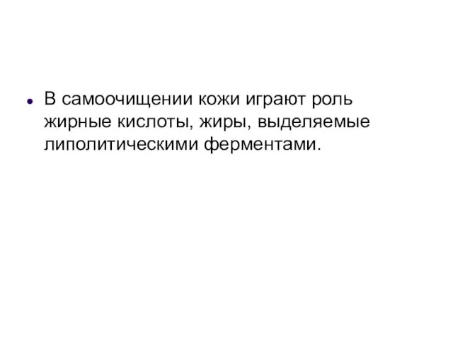 В самоочищении кожи играют роль жирные кислоты, жиры, выделяемые липолитическими ферментами.