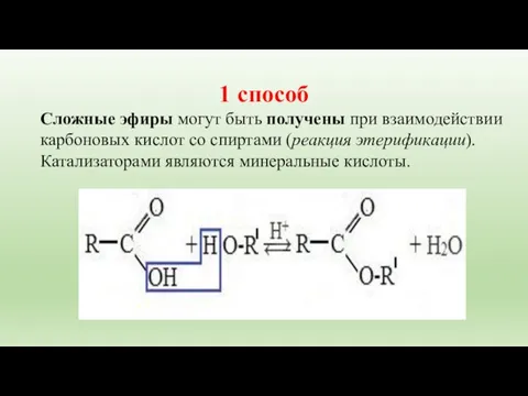 1 способ Cложные эфиры могут быть получены при взаимодействии карбоновых кислот со