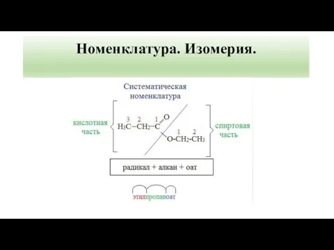 Номенклатура. Изомерия.