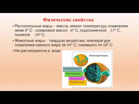 Физические свойства Растительные жиры – масла, имеют температуру плавления ниже 0о С