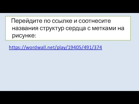 Перейдите по ссылке и соотнесите названия структур сердца с метками на рисунке: https://wordwall.net/play/19405/491/374