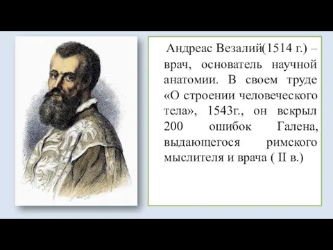 Андреас Везалий(1514 г.) – врач, основатель научной анатомии. В своем труде «О