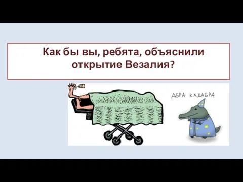 Как бы вы, ребята, объяснили открытие Везалия?