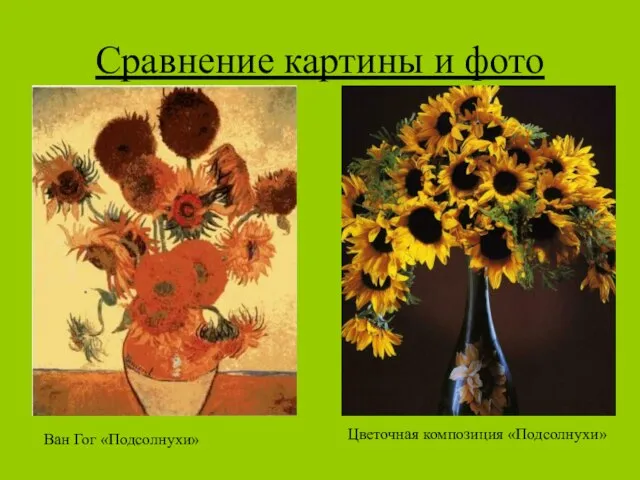 Сравнение картины и фото Ван Гог «Подсолнухи» Цветочная композиция «Подсолнухи»