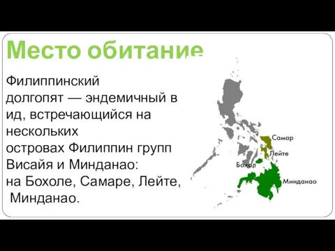 Место обитание Филиппинский долгопят — эндемичный вид, встречающийся на нескольких островах Филиппин
