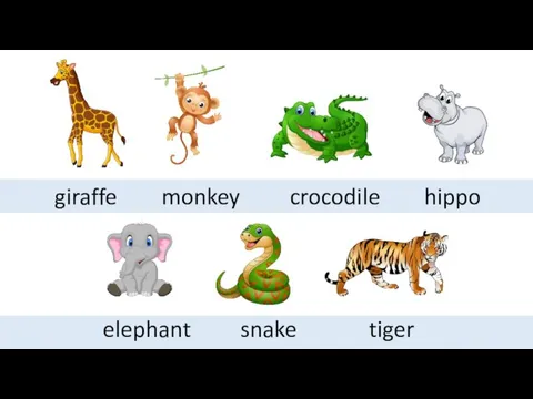 giraffe monkey crocodile hippo elephant snake tiger