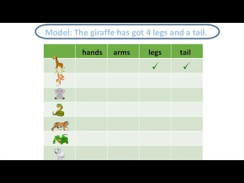 hands arms legs tail Model: The giraffe has got 4 legs and a tail.