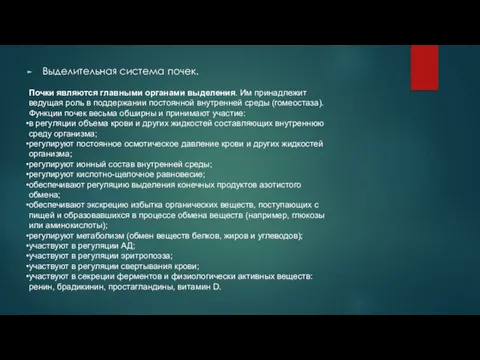 Выделительная система почек. Почки являются главными органами выделения. Им принадлежит ведущая роль