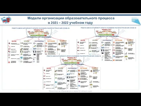 Министерство образования и науки Алтайского края Модели организации образовательного процесса в 2021