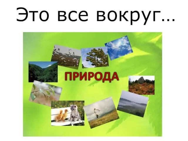 Это все вокруг…