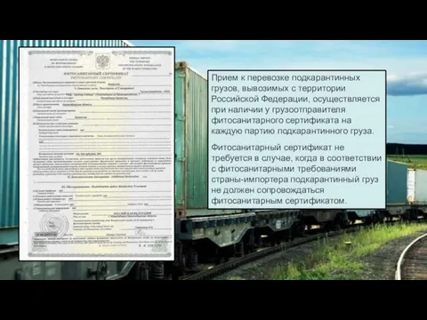 Прием к перевозке подкарантинных грузов, вывозимых с территории Российской Федерации, осуществляется при