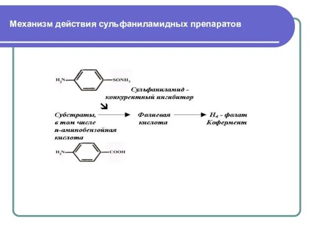 Механизм действия сульфаниламидных препаратов