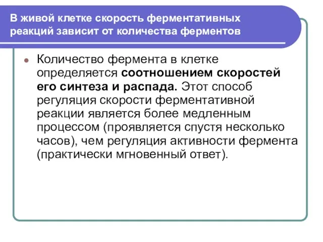 В живой клетке скорость ферментативных реакций зависит от количества ферментов Количество фермента