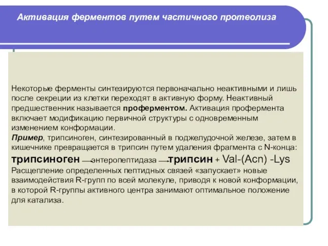 Некоторые ферменты синтезируются первоначально неактивными и лишь после секреции из клетки переходят